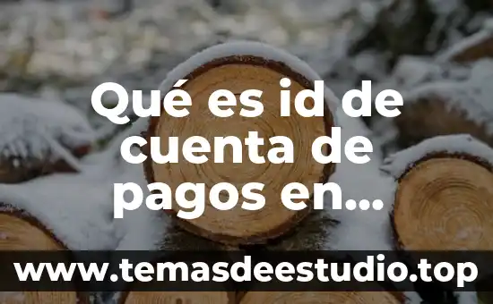 Qué es el ID significado de la siglas 3 Qué es id de cuenta de pagos en adwords