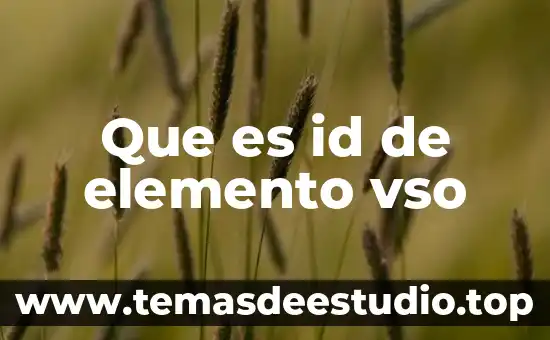 Qué es el ID significado de la siglas 7 Que es id de elemento vso