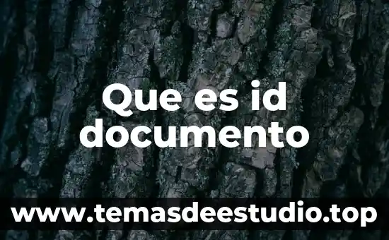 Que es id documento
