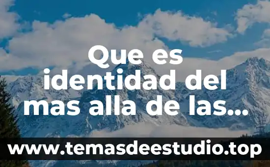 ¿Qué es más contaminante el benceno o el limoneno? 8 Que es identidad del mas alla de las fronteras