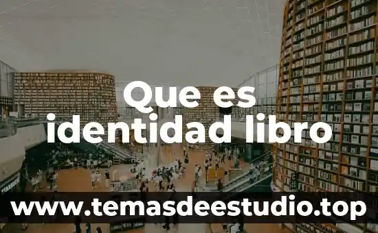 Que es identidad libro