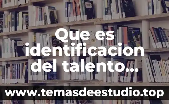 Qué es una política de talento humano 7 Que es identificacion del talento humano