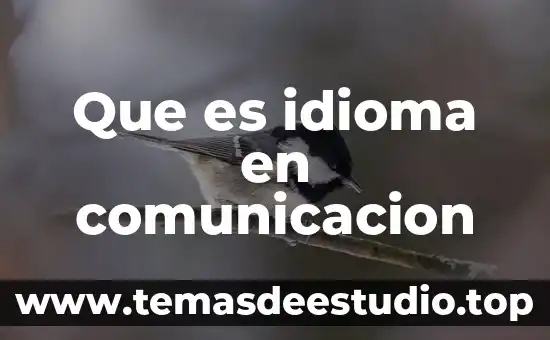 Que es icono en comunicacion y lenguaje 3 Que es idioma en comunicacion