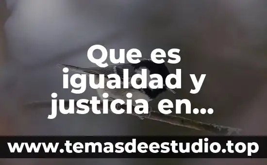 Qué es el plan de igualdad y características 5 Que es igualdad y justicia en filosofia