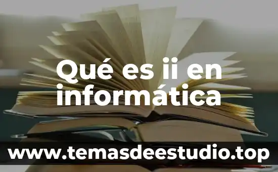 Qué es ii en informática