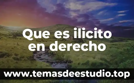 Que es ilicito en derecho