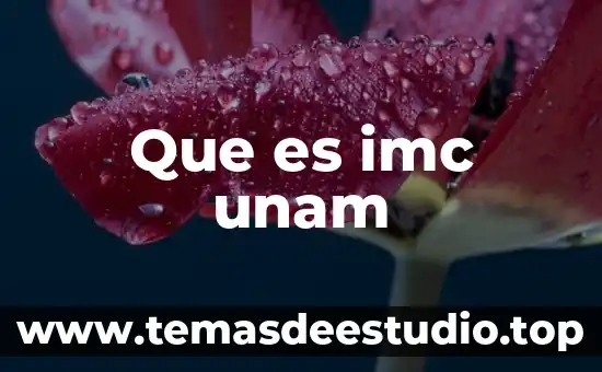 Unam que es comprender 5 Que es imc unam