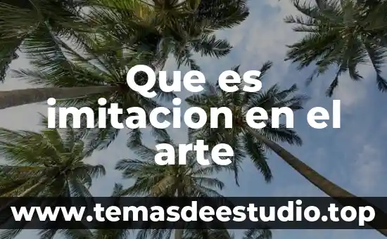Que es em arte 3 Que es imitacion en el arte