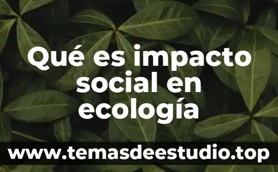 Que es estructura organizacional dinamica social 3 Qué es impacto social en ecología
