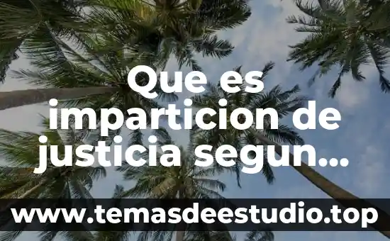 Que es la autenticación biométrica autores 4 Que es imparticion de justicia segun autores