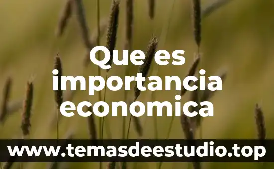 Que es el autoestima importancia 5 Que es importancia economica