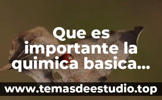 Que es importante la quimica basica para la vida