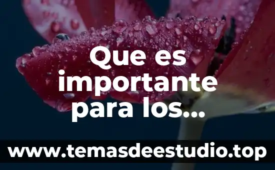 Que es la moral en los estudiantes 4 Que es importante para los estudiantes de derecho