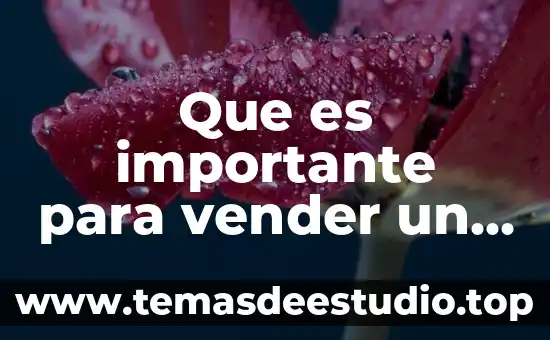 Que es mas importante al vender 5 Que es importante para vender un producto pueda ser exportado