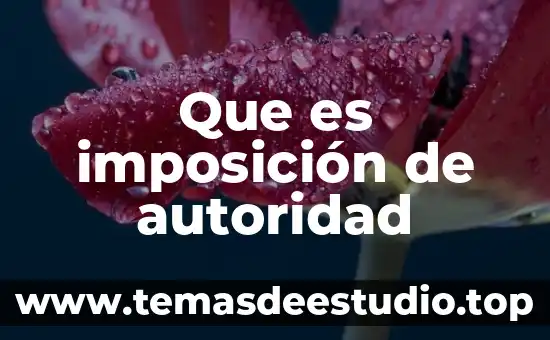 Que es el conocimiento por autoridad 5 Que es imposición de autoridad