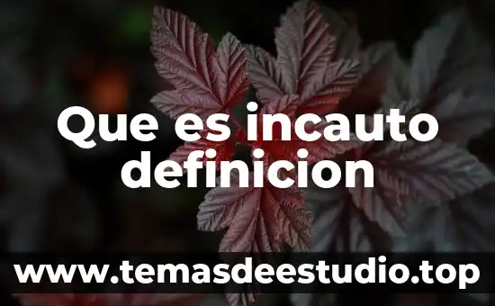 Qué es un nacional definición 4 Que es incauto definicion