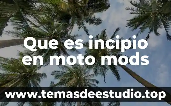 Qué es la obesidad definición larga 4 Que es incipio en moto mods
