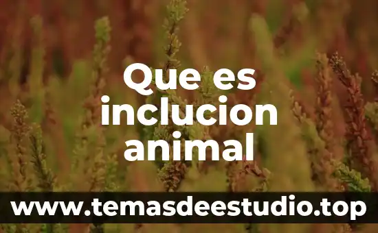 Que es el poder relacional 3 Que es inclucion animal