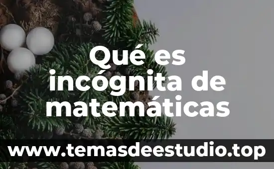 Qué es un argumento en funciones matemáticas 3 Qué es incógnita de matemáticas