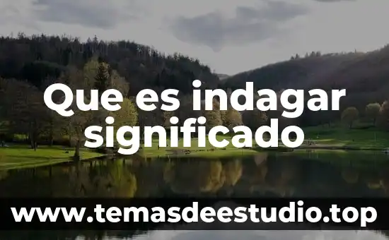 Que es areas propedeuticas 6 Que es indagar significado