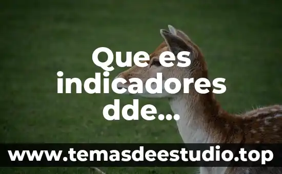 Que es sistema educativo por competencias 3 Que es indicadores dde competencias