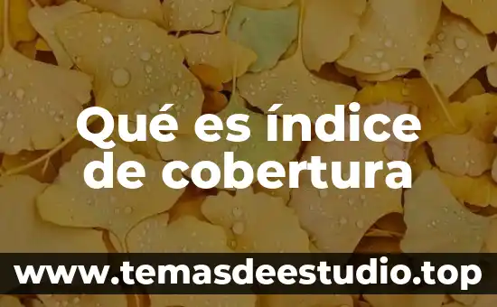 Qué es índice de complejidad económica 4 Qué es índice de cobertura