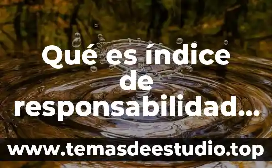 Qué es índice de complejidad económica 7 Qué es índice de responsabilidad seguridad industrial