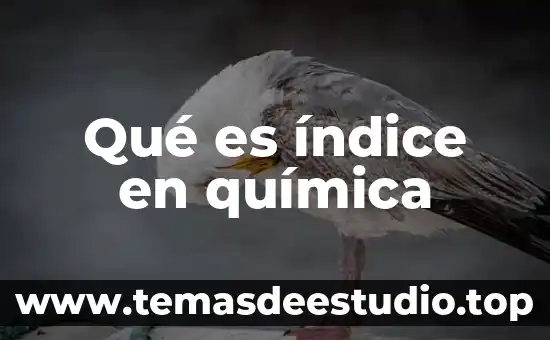 Qué es un tabla de contenido índice generar 7 Qué es índice en química