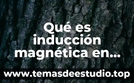 Qué es la inducción electromagnética de física 3 Qué es inducción magnética en electricidad