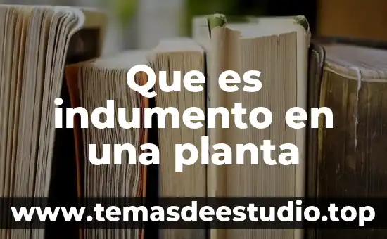 Qué es planta o alzado 6 Que es indumento en una planta