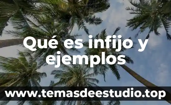 Que es razonamiento etico ejemplos 7 Qué es infijo y ejemplos
