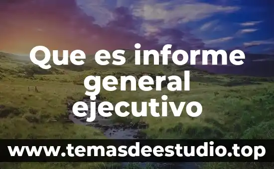 Que es informe general ejecutivo