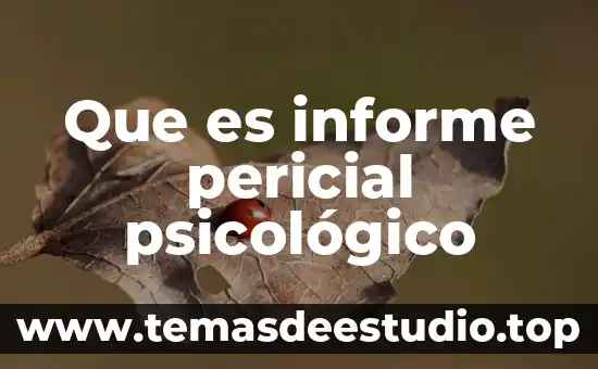 Qué es la conclusión en un informe científico 6 Que es informe pericial psicológico