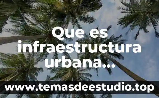 Qué es realidad social 6 Que es infraestructura urbana arquitectura