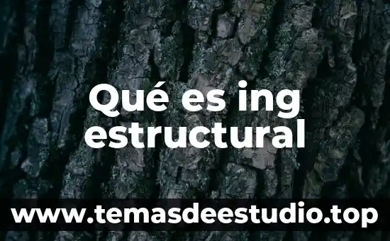 Qué es ing estructural