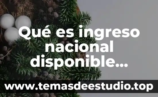 Qué es el índice de ingreso por habitante 5 Qué es ingreso nacional disponible mapa mental