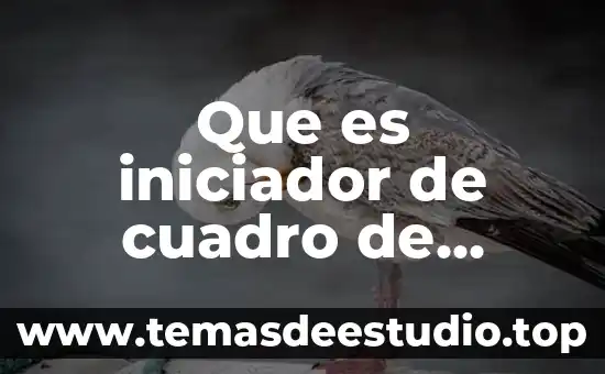 Que es y para que sirve le cuadro latino 6 Que es iniciador de cuadro de dialogo en excel