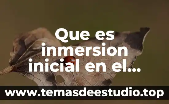 Que es una unidad de aprendizaje en educacion inicial 8 Que es inmersion inicial en el campo