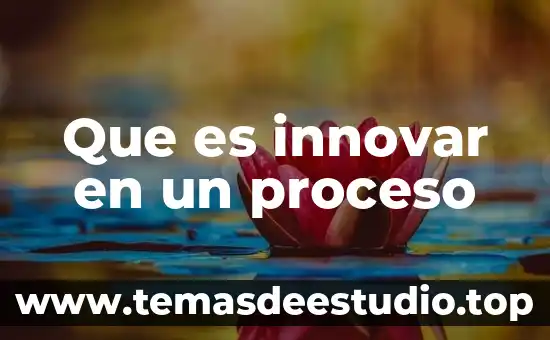 Que es innovar en un proceso