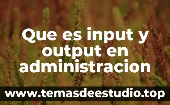 Qué es número de administración desconcentrada de auditoría fiscal 3 Que es input y output en administracion