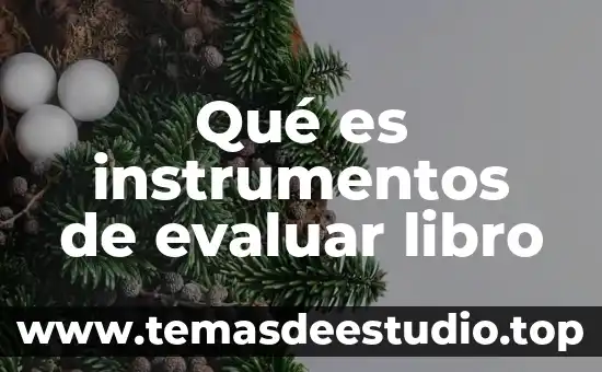 Qué es instrumentos de evaluar libro