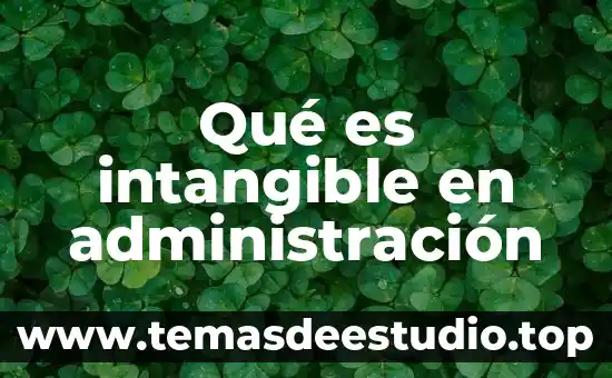Que es un elemento intangible 3 Qué es intangible en administración