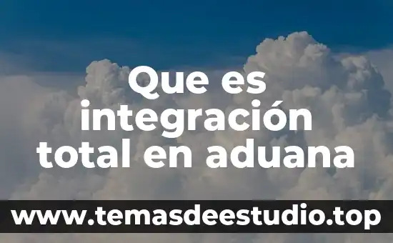 Por que es importante conocer el significado de la aduana 4 Que es integración total en aduana