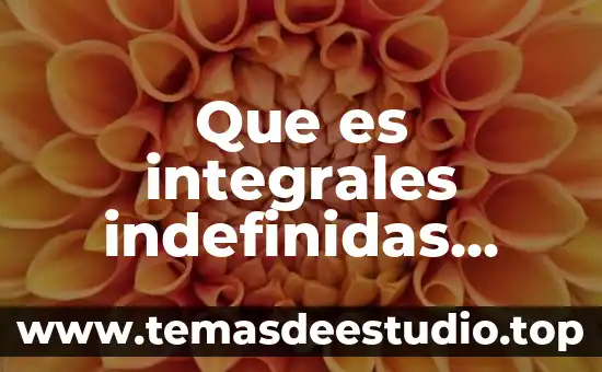 Que es el cambio en la historia 5 Que es integrales indefinidas cambio de variables