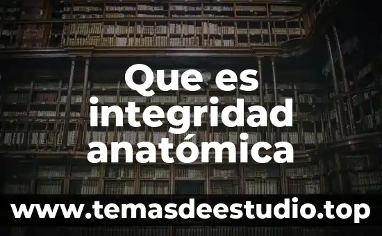 Que es integridad anatómica