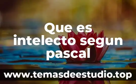 Según Pascal, que es el infierno y la nada 6 Que es intelecto segun pascal