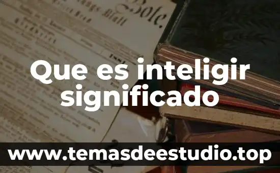 Que es el significado de simetria 7 Que es inteligir significado