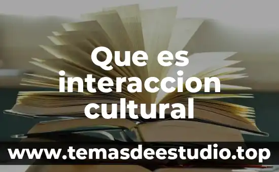 Que es un movimiento en transito 4 Que es interaccion cultural