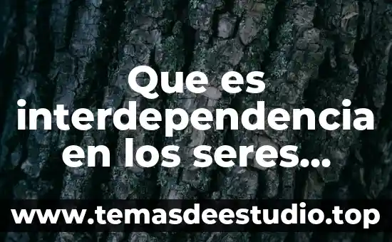 Respiracion de seres vivos que es 5 Que es interdependencia en los seres humanos