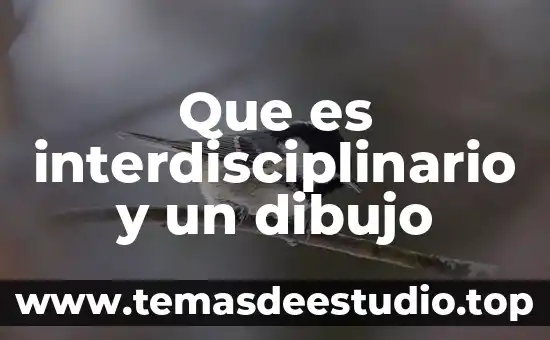 Dibujo que es cultura 6 Que es interdisciplinario y un dibujo